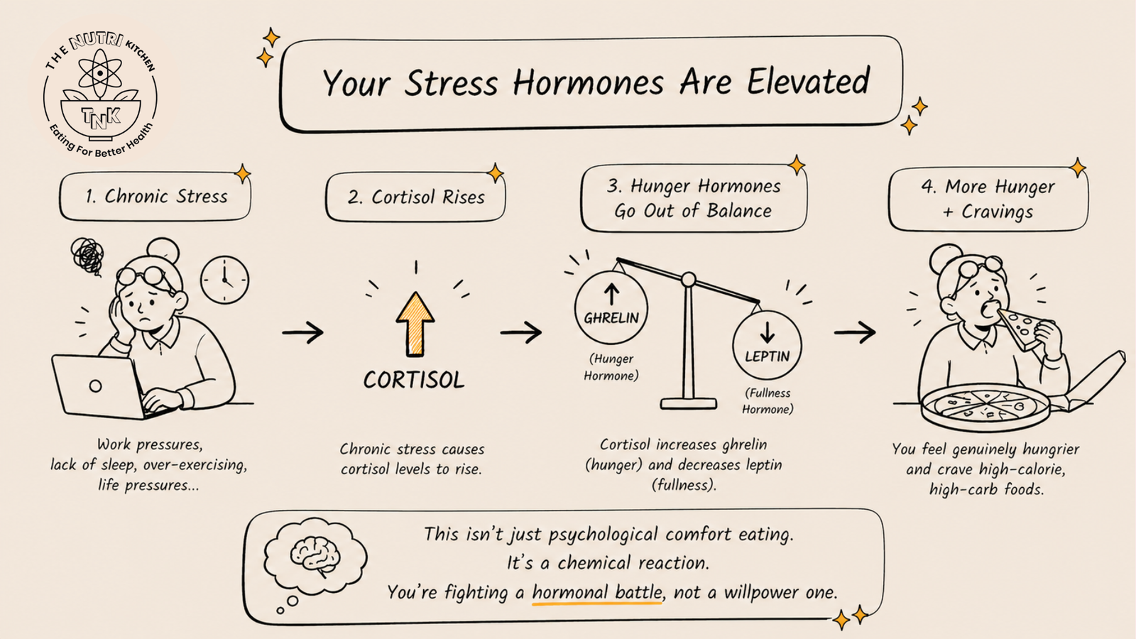 how stress impacts hunger levels and over eating