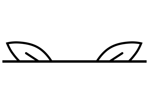 Logo.Split.Nature Lifestyle